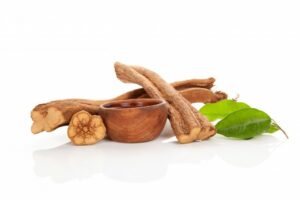 Ayahuasca  (Tea plant) for sale