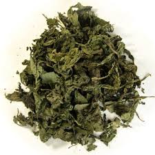 SALVIA DIVINORUM For Sale